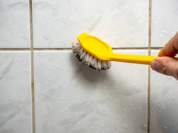 Best Attic Mold Removal  in Burbank, WA