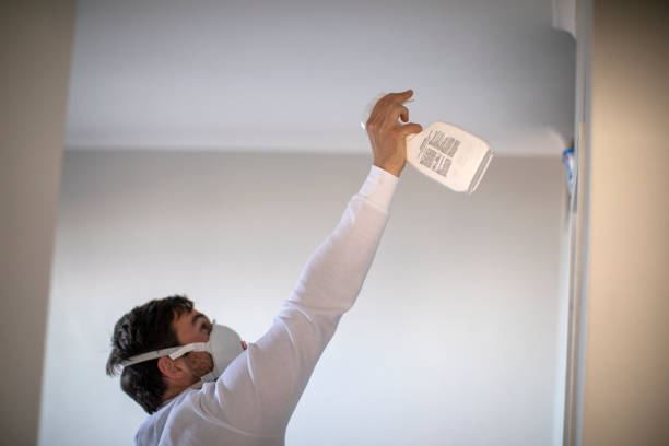 Mold Removal and Inspection in Burbank, WA