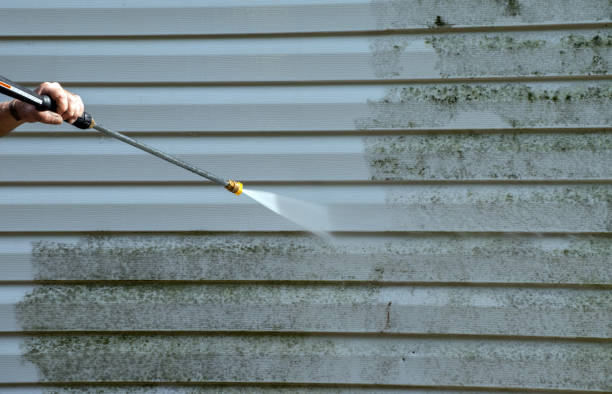 Best Home Mold Removal  in Burbank, WA