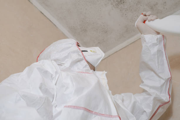 Best Mold Removal and Inspection  in Burbank, WA