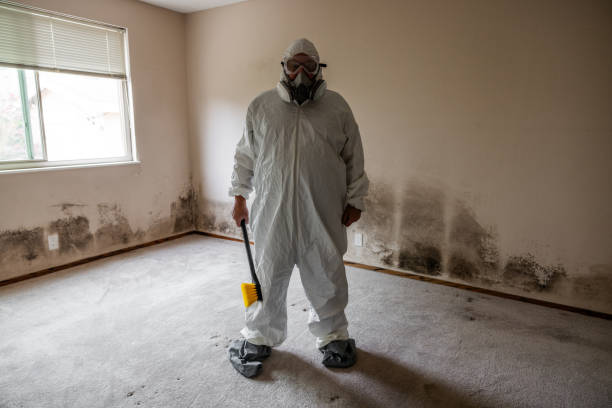 Best Mold Damage Repair  in Burbank, WA